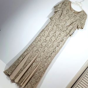 R and M Richards Petite Champagne Lace Sequins Long Formal Dress 12P NWT